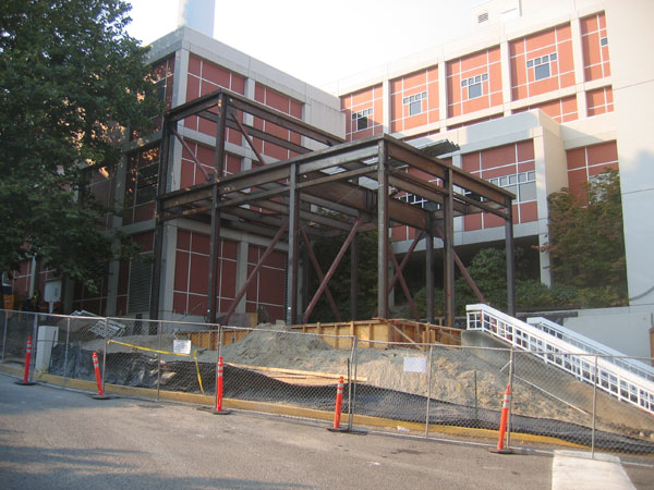 Central-plant-Steel-Framing